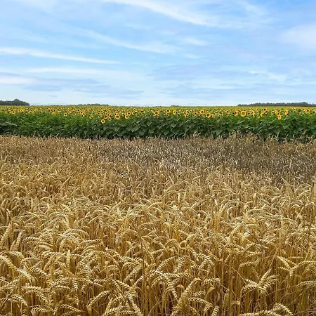 Stunning In * Ceaux-en-Loudun