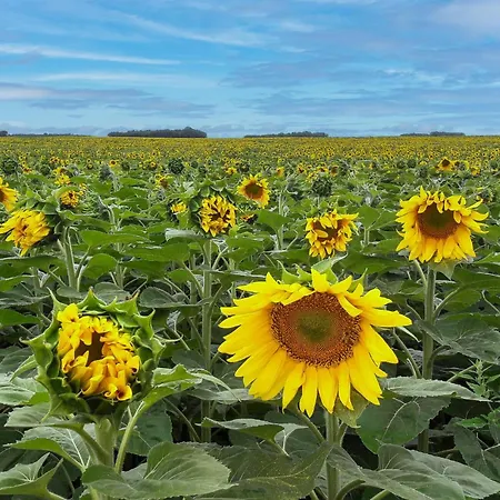 Stunning In * Ceaux-en-Loudun