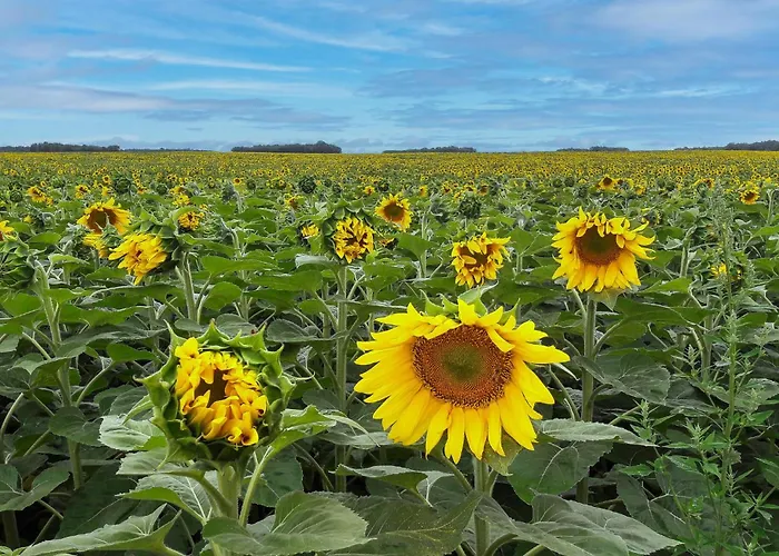 Stunning In * Ceaux-en-Loudun